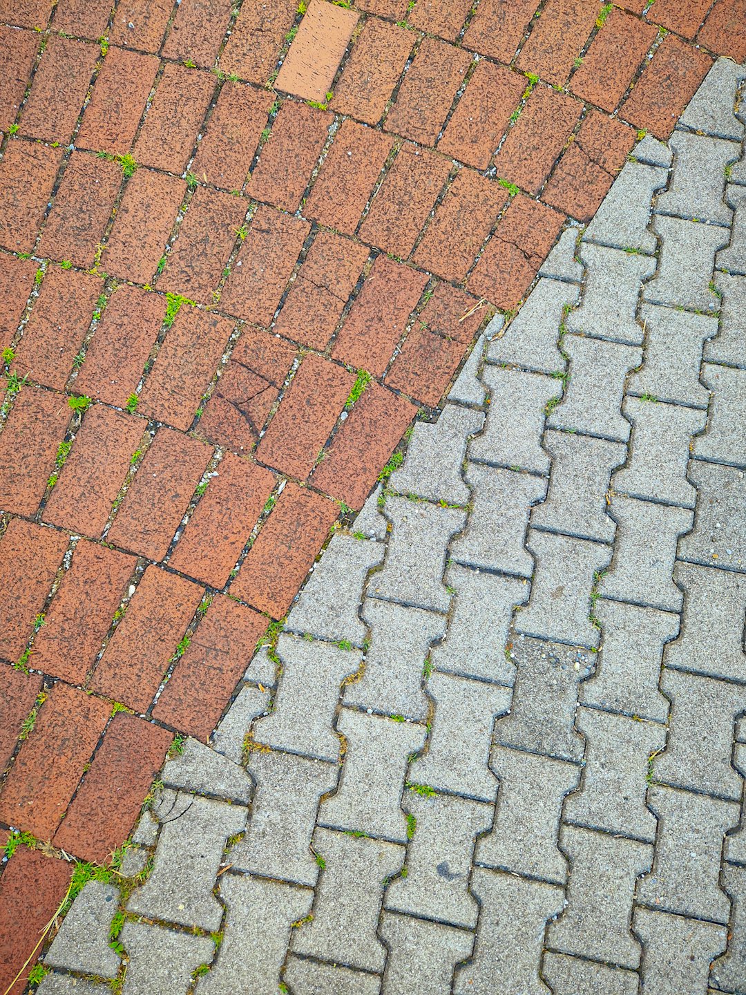 Red brick and grey concrete pavers meet on a walkway.